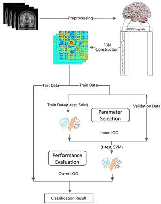 Remodeling Pearson's Correlation for Functional Brain Network Estimation and Autism Spectrum Disorder Identification